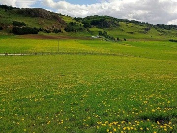 Venta / Terreno / Coyhaique