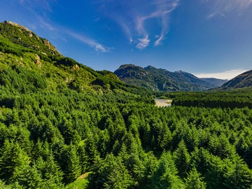 Venta / Terreno / Coyhaique