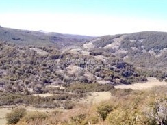 Imagen 7