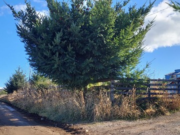 Venta / Terreno / Coyhaique