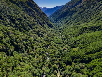 Venta / Terreno / Coyhaique