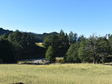 Venta / Terreno / Coyhaique
