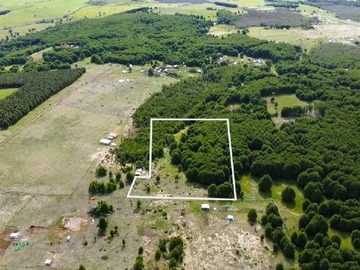 Venta / Terreno / Coyhaique