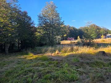 Venta / Terreno / Coyhaique