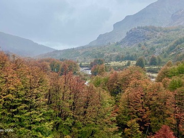 Venta / Terreno / Coyhaique