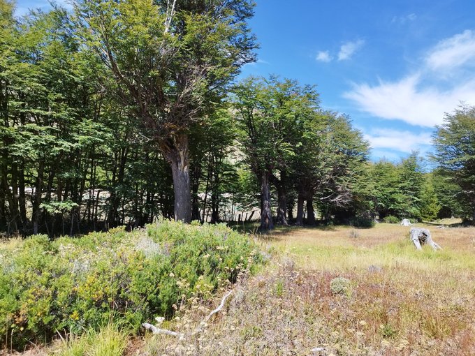 Lomaje, bosque y pendientes, colindan por la parte de atrás con reserva cerro castillo