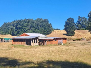 Venta / Terreno / Cunco