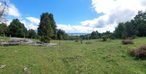 Venta / Terreno / Cunco