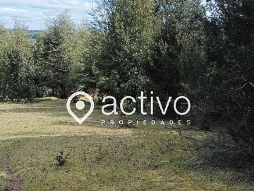 Venta / Terreno / Cunco