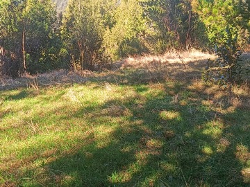 Venta / Terreno / Cunco