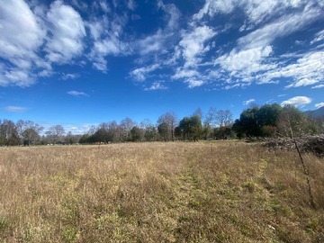 Venta / Terreno / Cunco