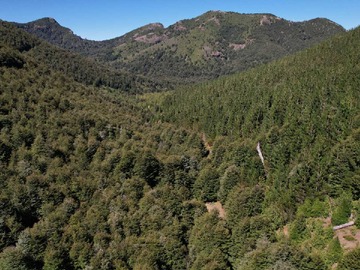 Venta / Terreno / Cunco