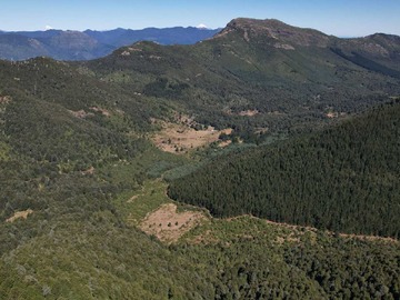 Venta / Terreno / Cunco