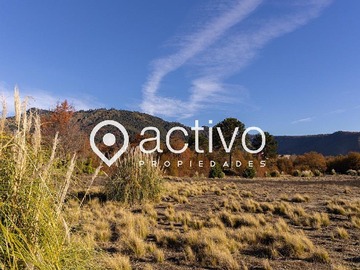 Imagen 16