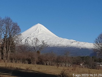 Venta / Terreno / Curacautín