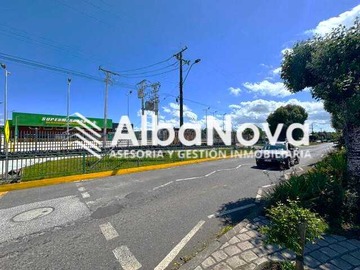 Imagen 6