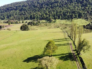 Venta / Terreno / Curacautín