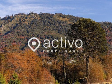Venta / Terreno / Curacautín