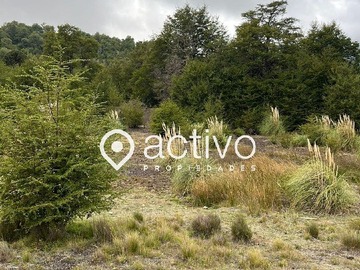 Imagen 18