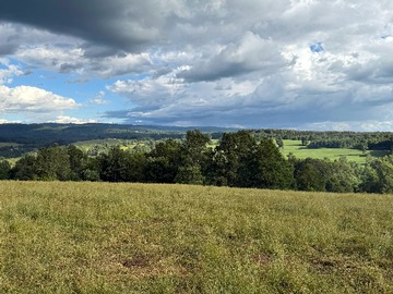 Venta / Terreno / Curacautín