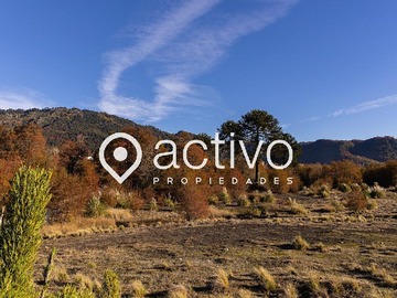 Imagen 14