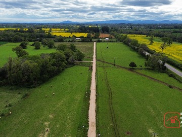 Venta / Terreno / Curacautín