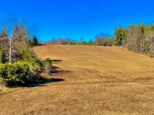 Venta / Terreno / Curacautín