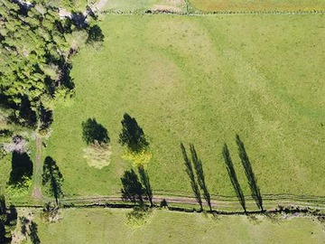 Venta / Terreno / Curacautín