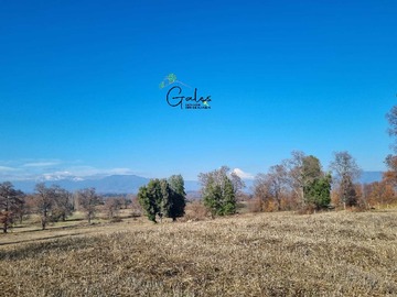 Venta / Terreno / Curacautín