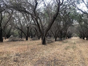 Venta / Terreno / Curacaví