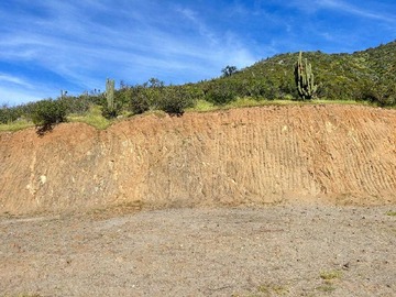 Venta / Terreno / Curacaví