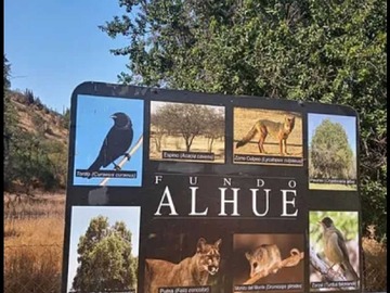 Venta / Terreno / Curacaví