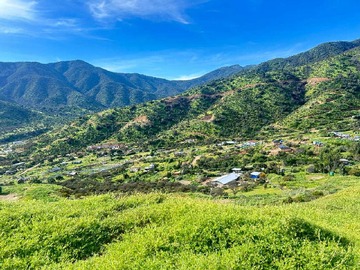 Venta / Terreno / Curacaví