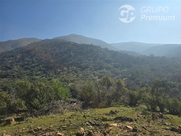 Venta / Terreno / Curacaví