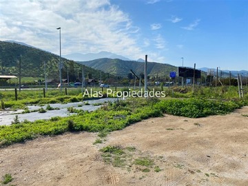 Imagen 7