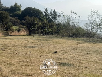 Imagen 6