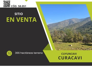 Venta / Terreno / Curacaví