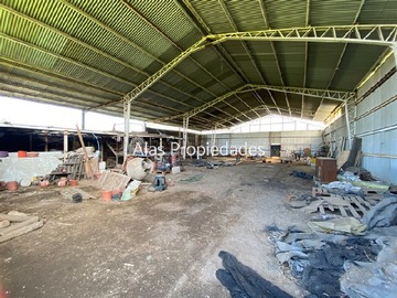 Imagen 13