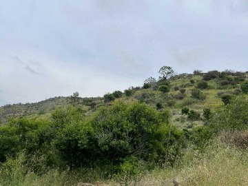 Venta / Terreno / Curacaví