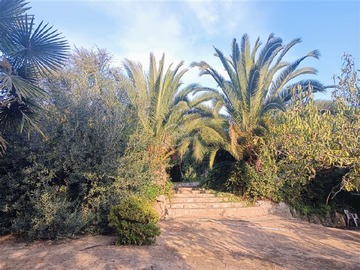 Venta / Terreno / Curacaví