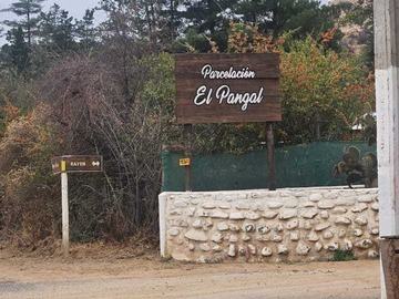 Venta / Terreno / Curacaví