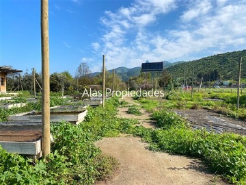 Imagen 9