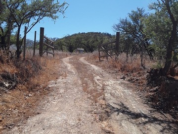 Venta / Terreno / Curacaví