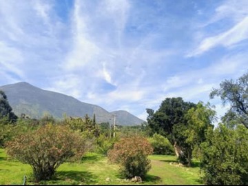 Imagen 6