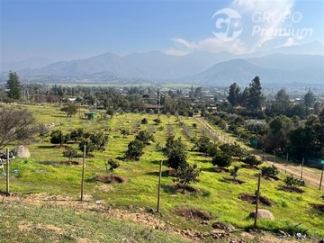 Imagen 10