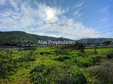 Imagen 16