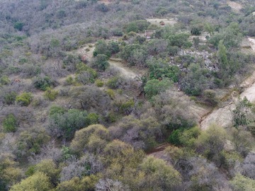 Venta / Terreno / Curacaví