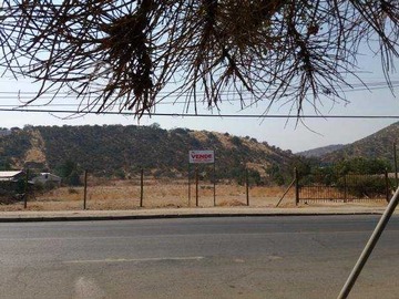 Imagen 21