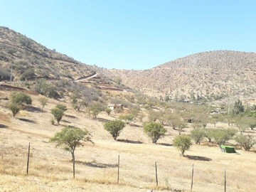 Venta / Terreno / Curacaví