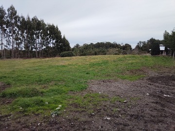 Imagen 5